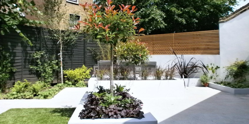 Clapham Modern Garden Design - Scott Lawrence Garden Design